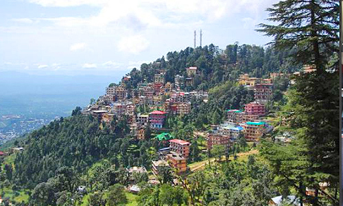 name ayurveda massage therapist in mcleodganj