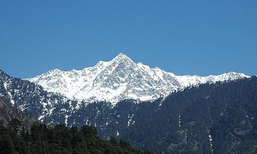 name ayurveda massage therapist in mcleodganj